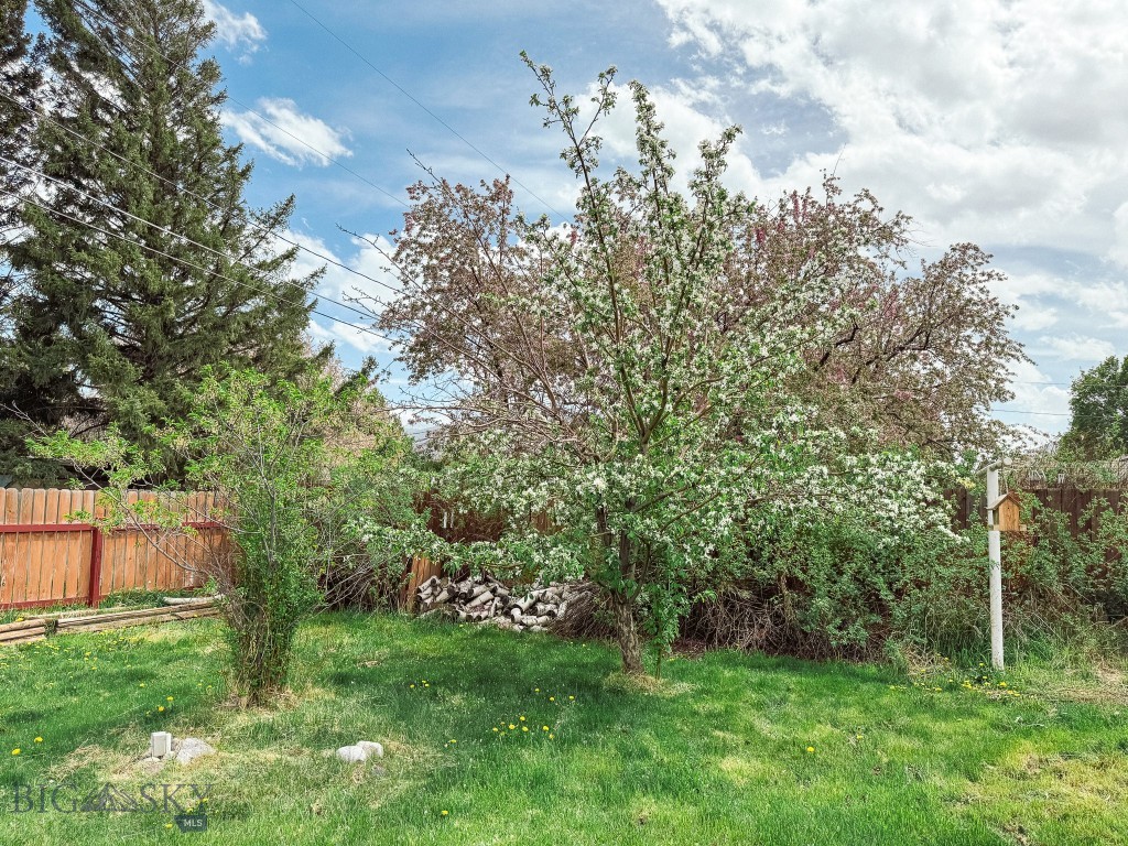 607 Meadowlark Lane, Livingston MT 59047