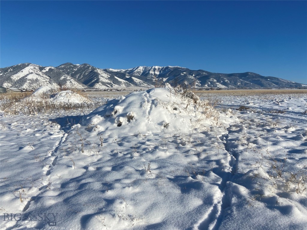 6114 SPRINGHILL Road, Belgrade MT 59714