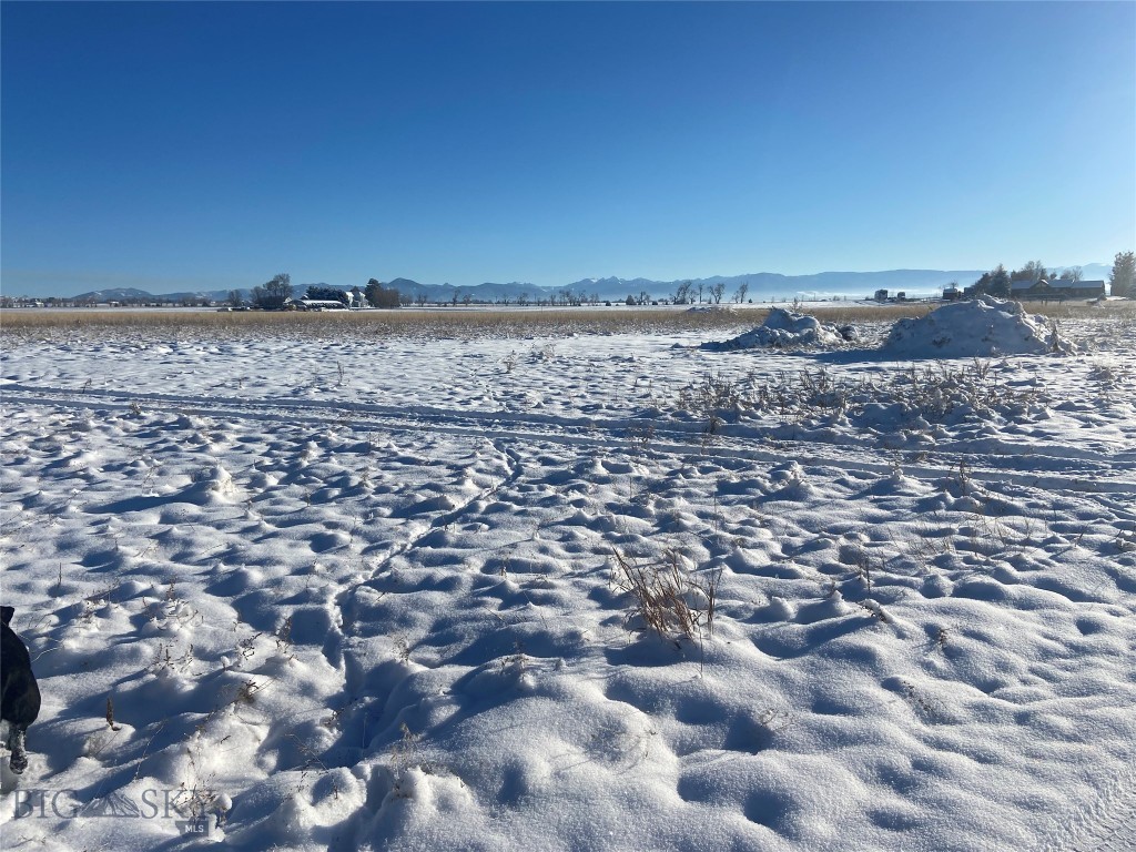 6114 SPRINGHILL Road, Belgrade MT 59714