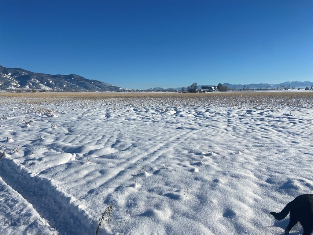 6114 SPRINGHILL Road, Belgrade MT 59714