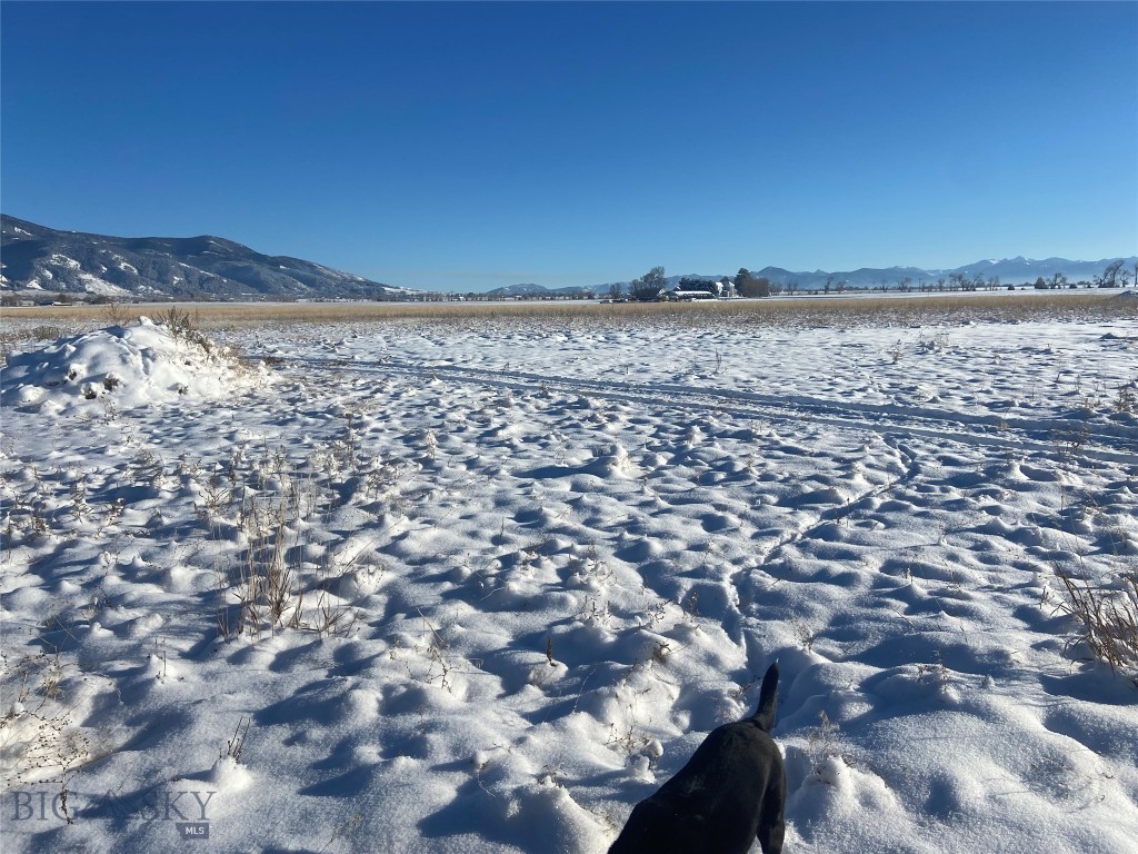 6114 SPRINGHILL Road, Belgrade MT 59714