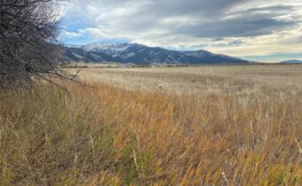 6114 SPRINGHILL Road, Belgrade MT 59714
