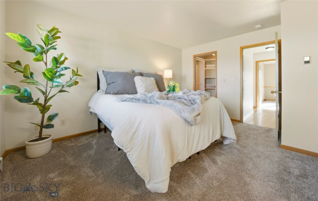 6271 Alamosa, Bozeman MT 59718