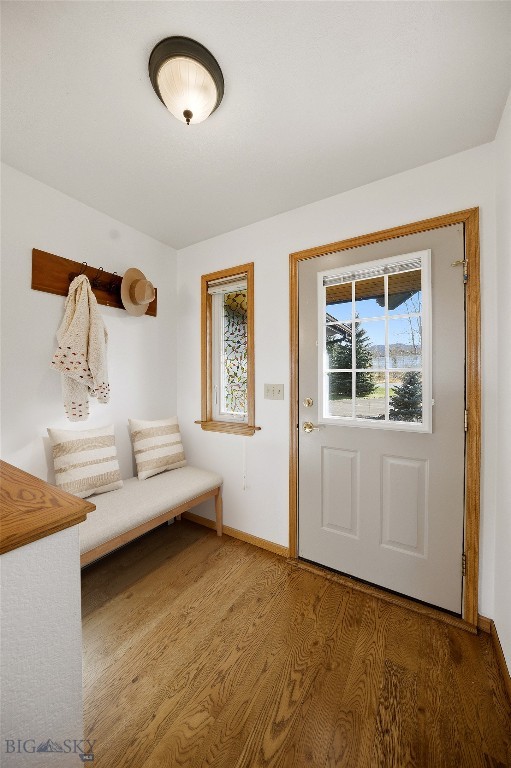 6271 Alamosa, Bozeman MT 59718