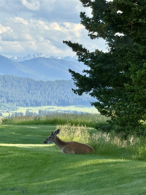 6555 Tepee Ridge Road W, Bozeman MT 59715