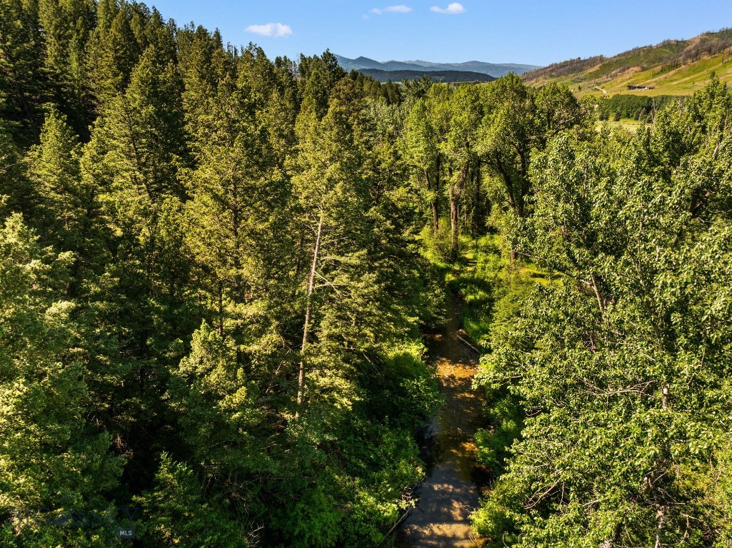 6555 Tepee Ridge Road W, Bozeman MT 59715