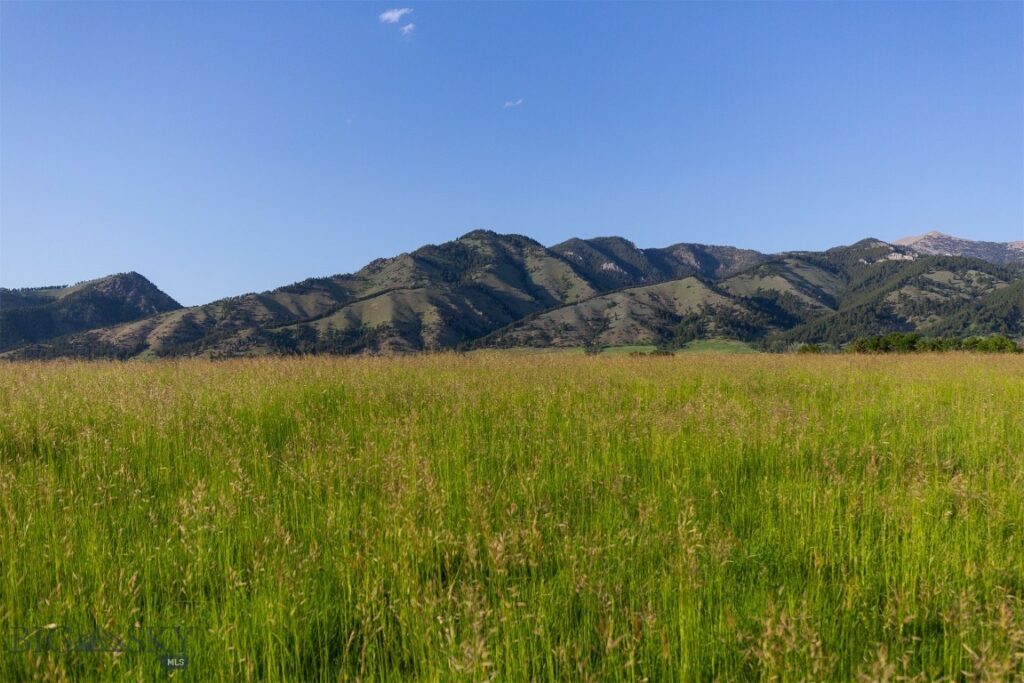 687 Glory Lane, Bozeman MT 59715