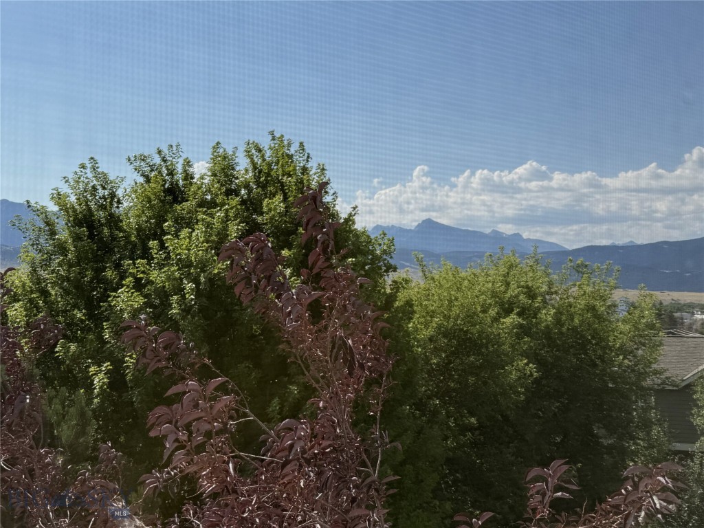 705 N N Street, Livingston MT 59047