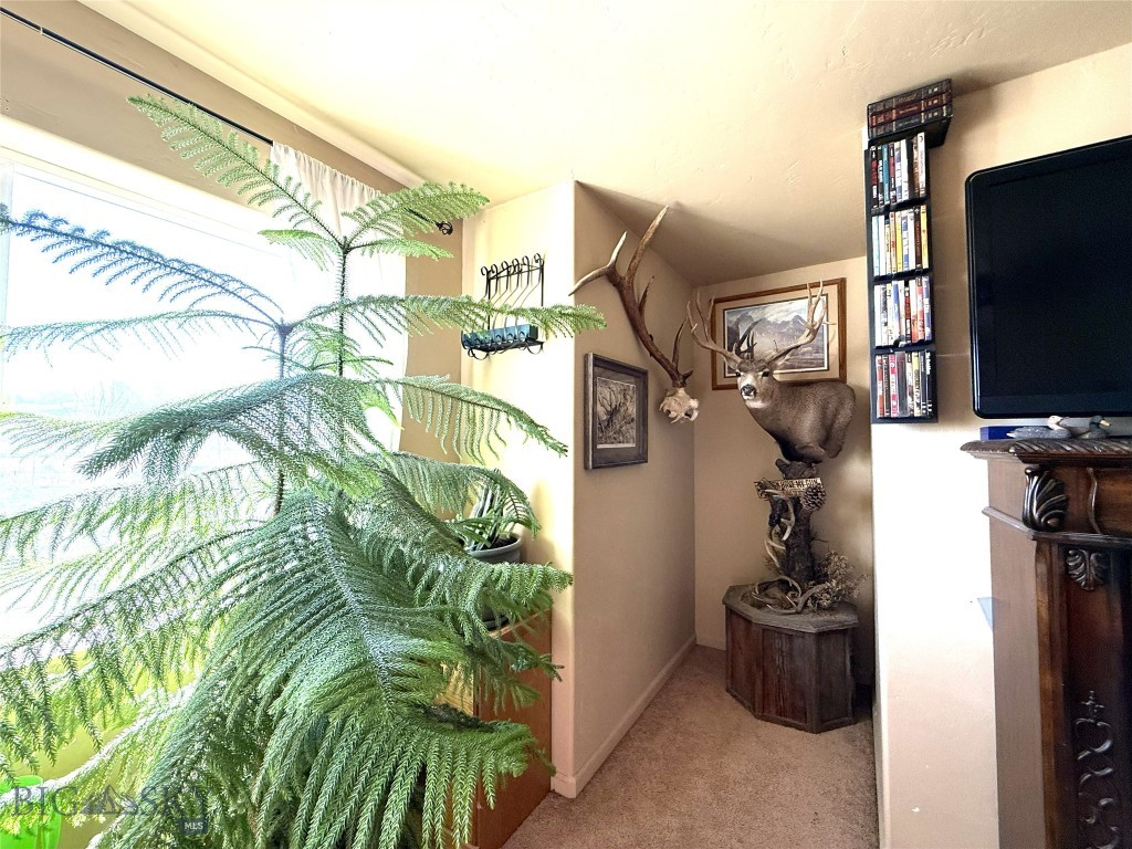 707 N N, Livingston MT 59047