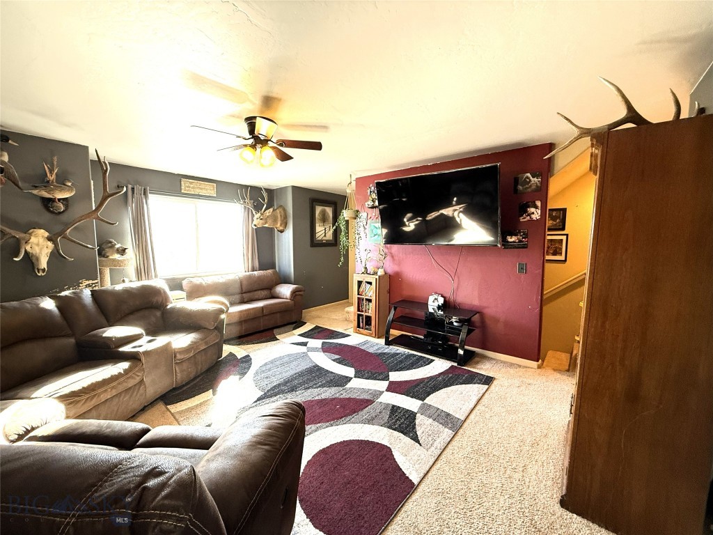 707 N N, Livingston MT 59047