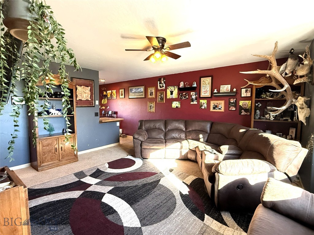 707 N N, Livingston MT 59047