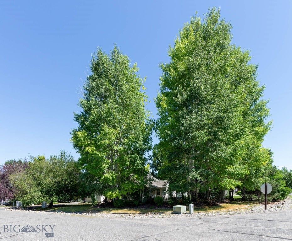 71 Fireside Drive, Bozeman MT 59718