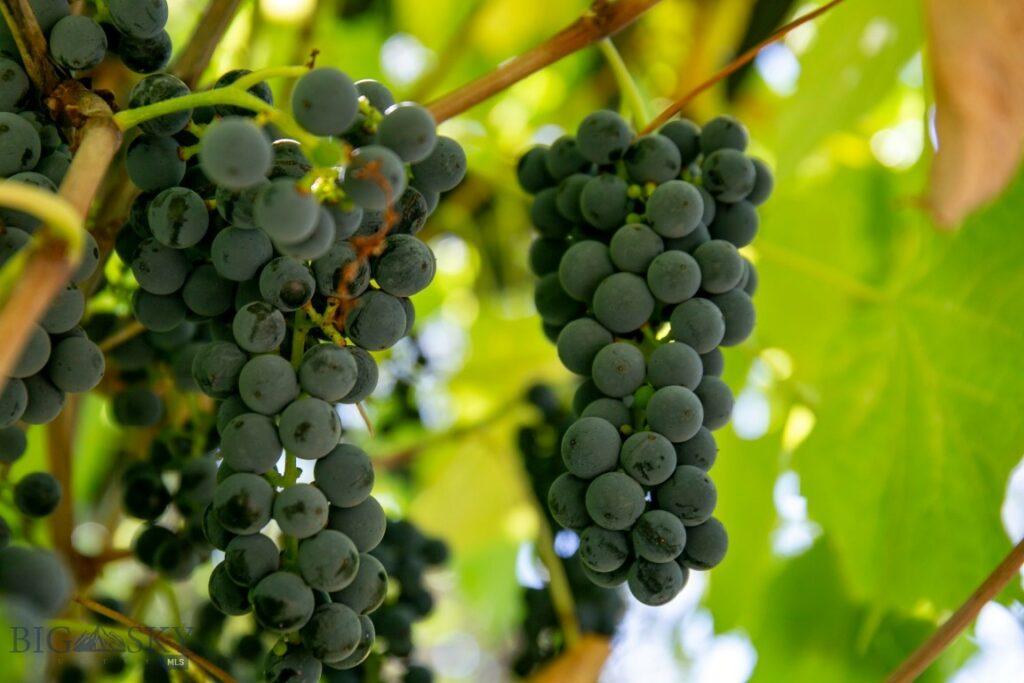 726 US Highway 10 West W, Livingston MT 59047