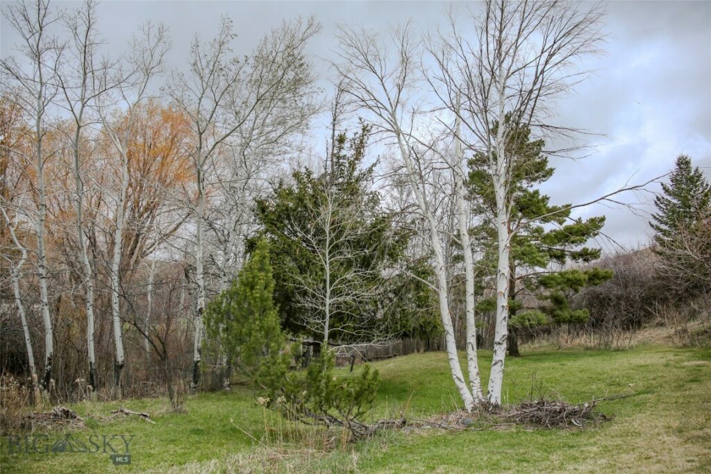 726 US Highway 10 West W, Livingston MT 59047