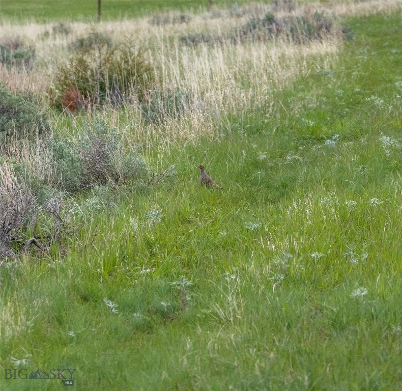 730 US Highway 10 W, Livingston MT 59047