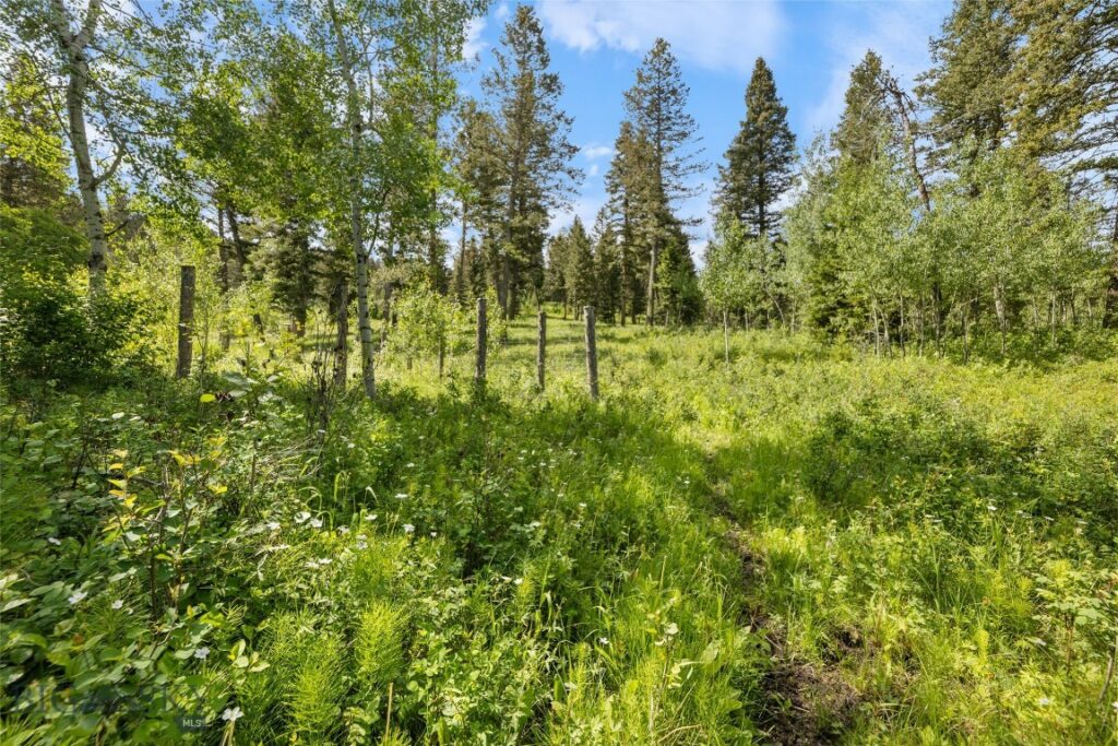 750 Black Bear Road, Bozeman MT 59718