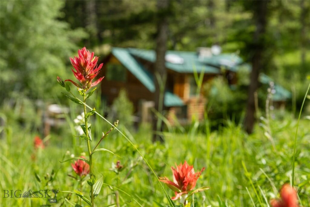 750 Black Bear Road, Bozeman MT 59718