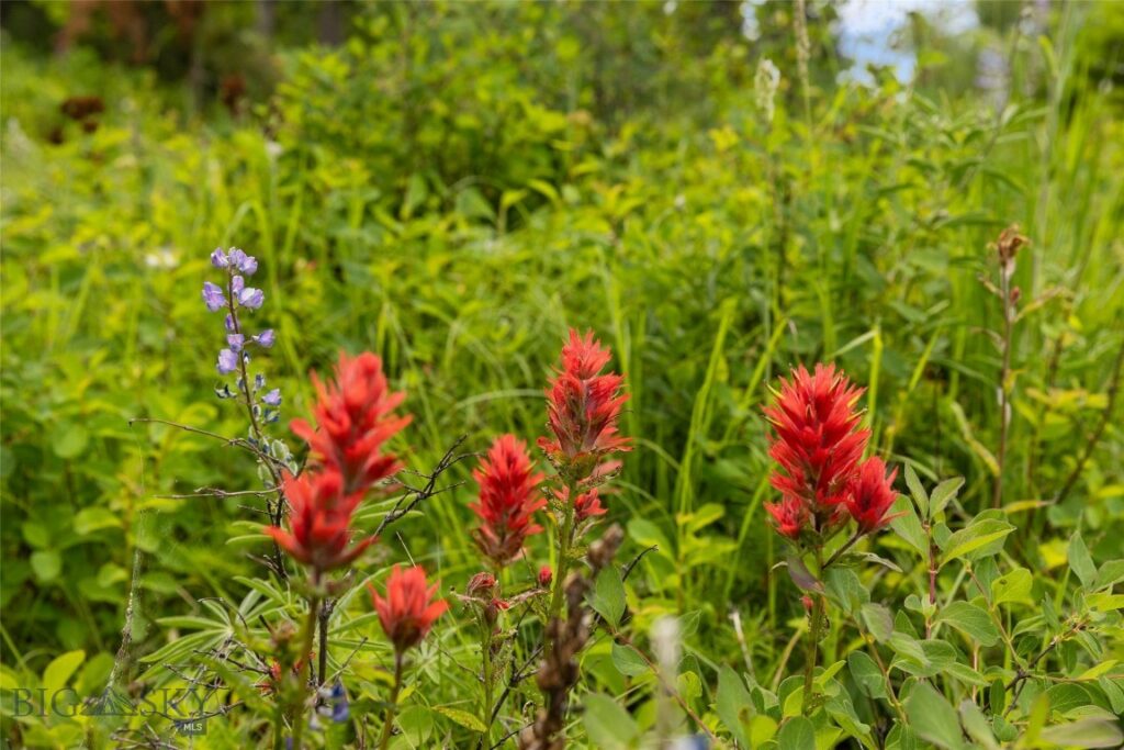 750 Black Bear Road, Bozeman MT 59718