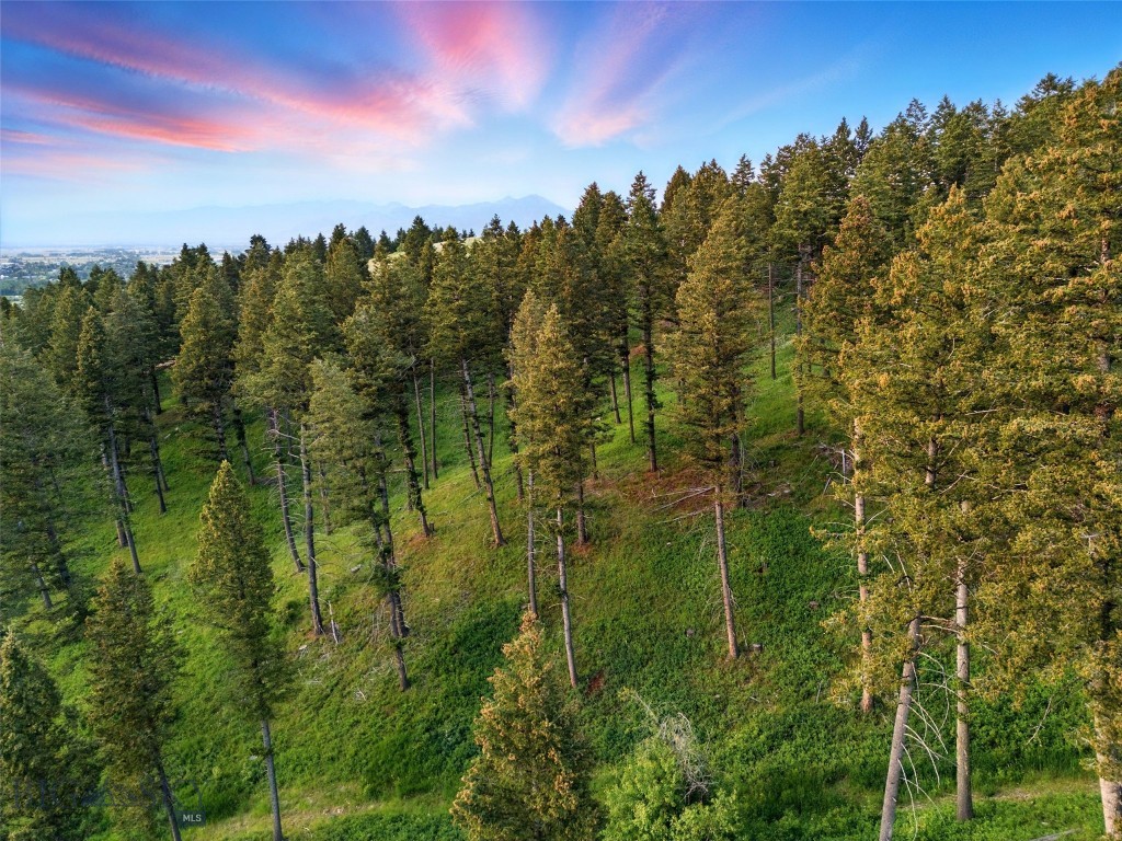 750 Black Bear Road, Bozeman MT 59718