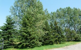 7543 Fowler Lane, Bozeman MT 59718