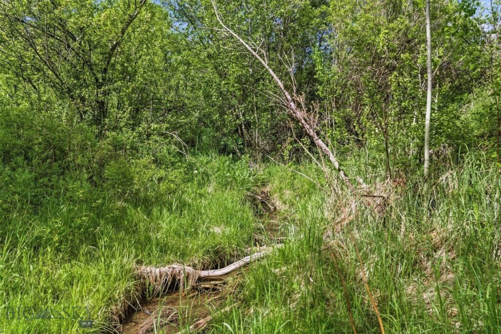 761 Sunny Bear Drive, Bozeman MT 59715