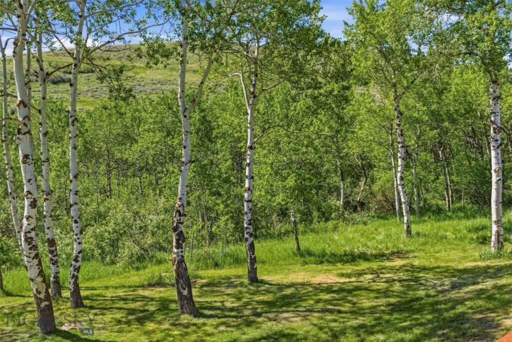 761 Sunny Bear Drive, Bozeman MT 59715