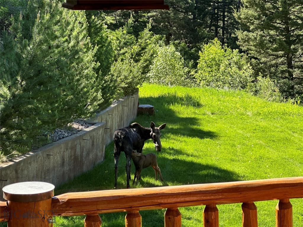 78 Lake Drive, Livingston MT 59047