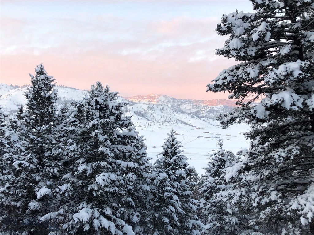 78 Lake Drive, Livingston MT 59047