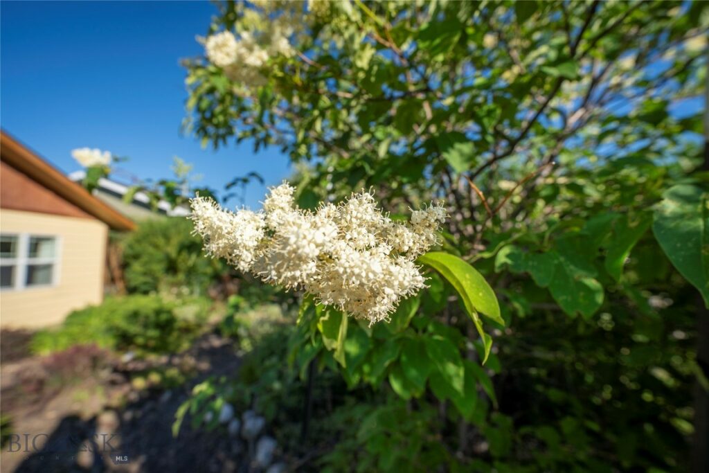 810 N 11th, Livingston MT 59047