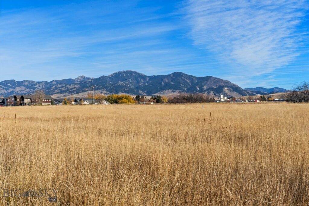 818 Matheson Way, Bozeman MT 59715