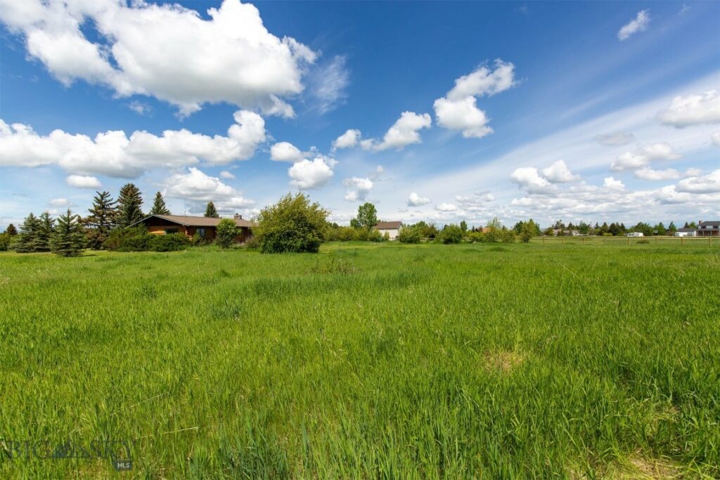 8212 War Eagle, Bozeman MT 59718