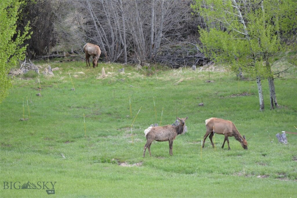 8407 Little Gully Run, Bozeman MT 59715