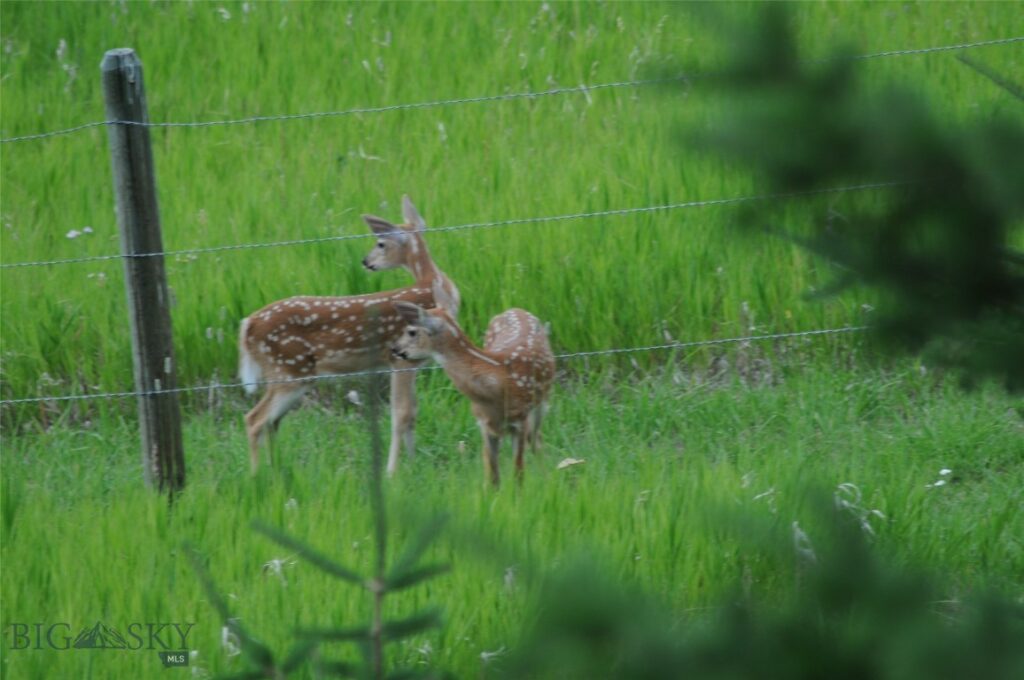 8407 Little Gully Run, Bozeman MT 59715