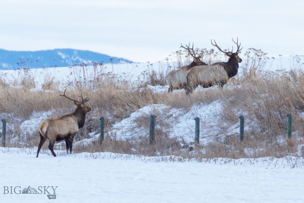 855 Deer Path, Bozeman MT 59718