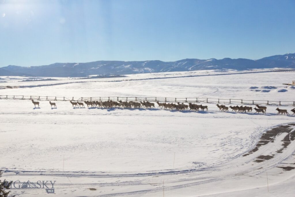 855 Deer Path, Bozeman MT 59718