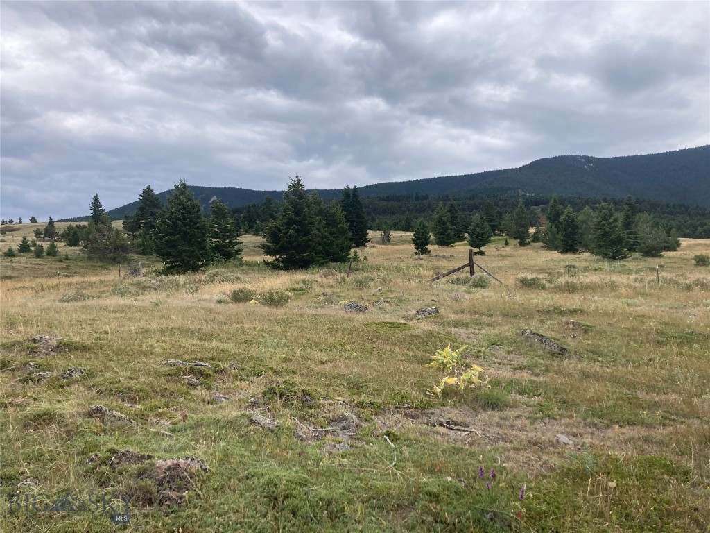 86 Pony Lane, Livingston MT 59047