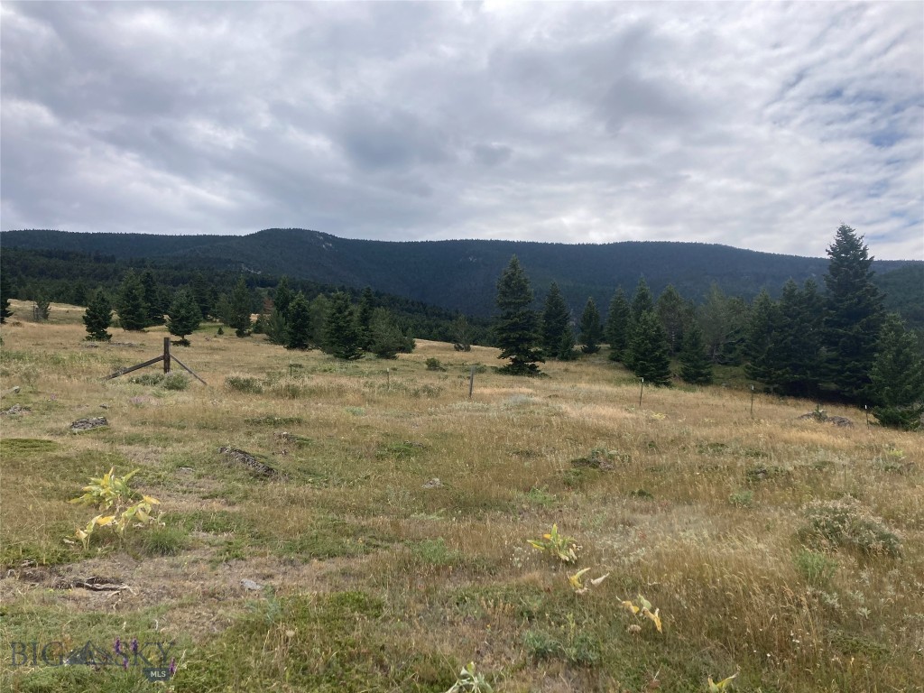 86 Pony Lane, Livingston MT 59047