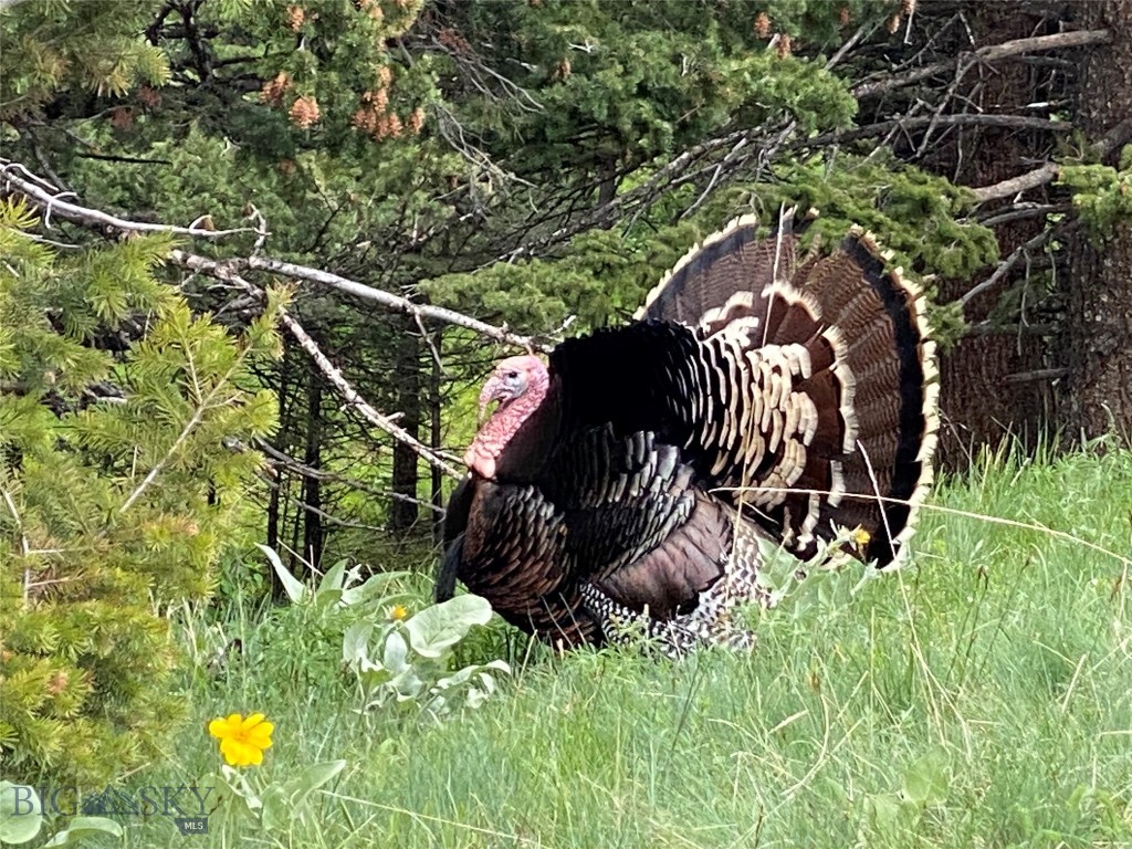 8663 E Panorama, Bozeman MT 59715