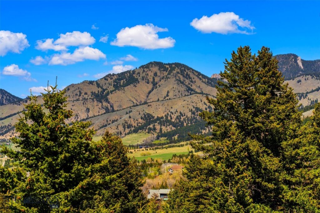 8663 E Panorama, Bozeman MT 59715