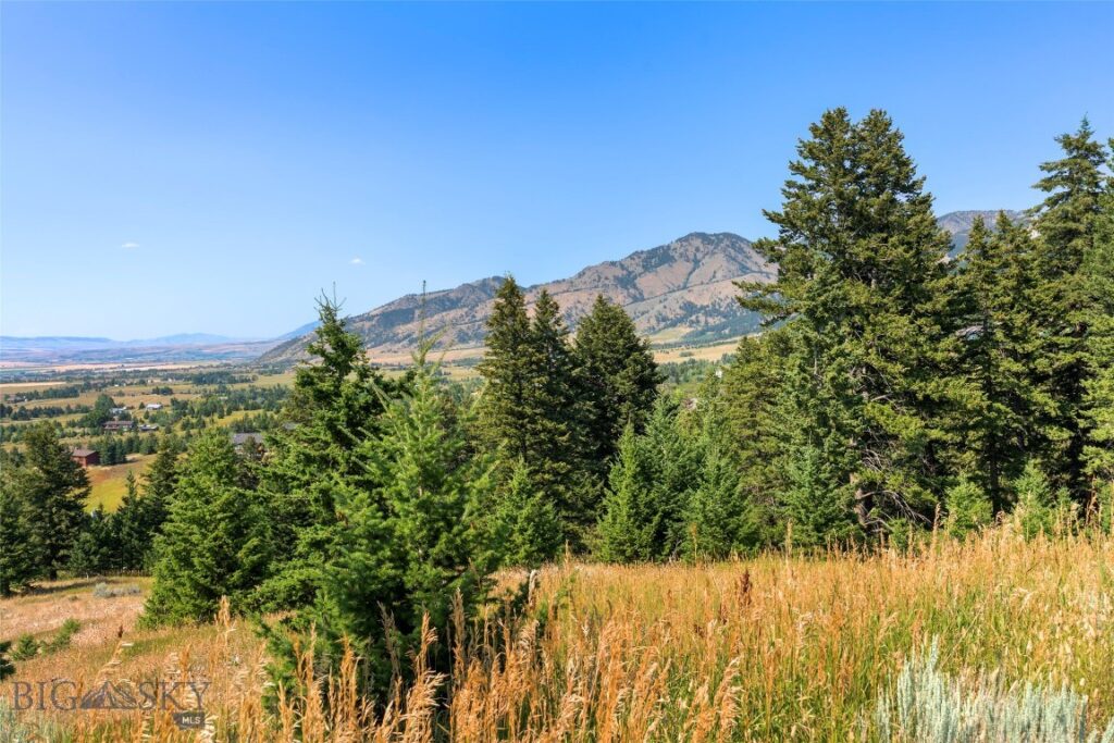 8663 E Panorama, Bozeman MT 59715