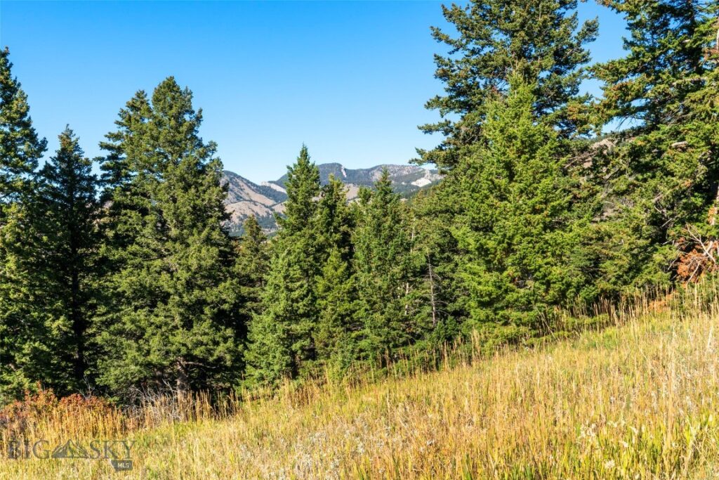 8663 E Panorama, Bozeman MT 59715