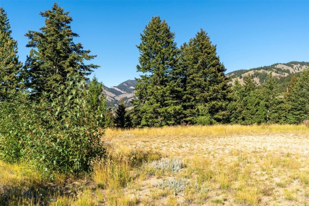 8663 E Panorama, Bozeman MT 59715