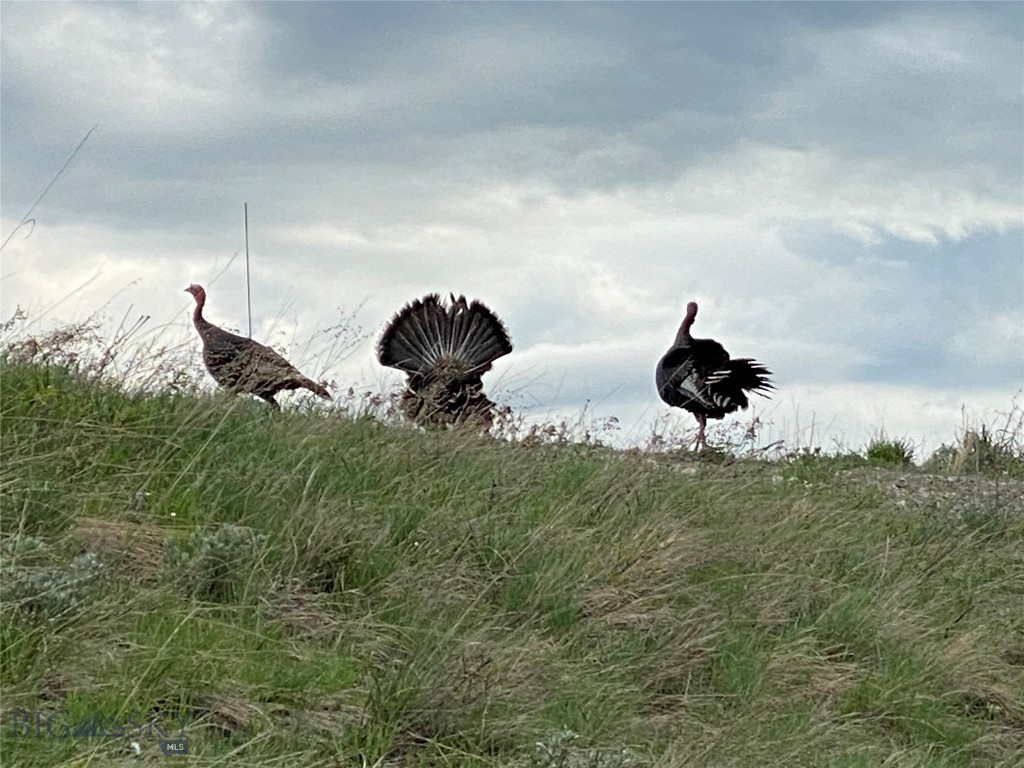 8663 E Panorama, Bozeman MT 59715