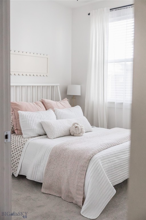 908 Dillinger Drive, Belgrade MT 59714