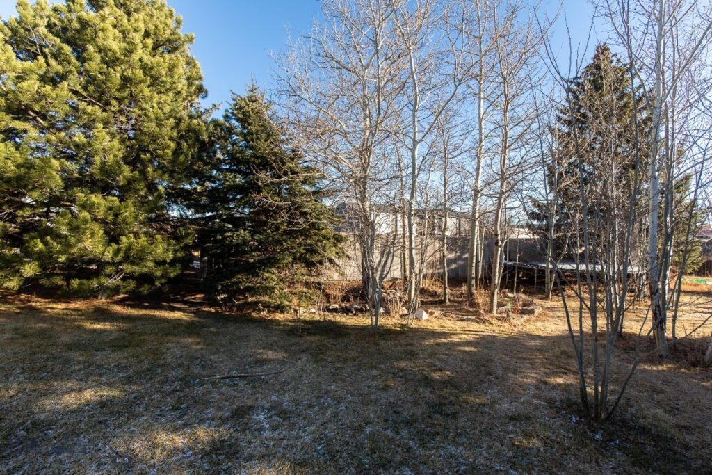 94 Willow Drive, Livingston MT 59047