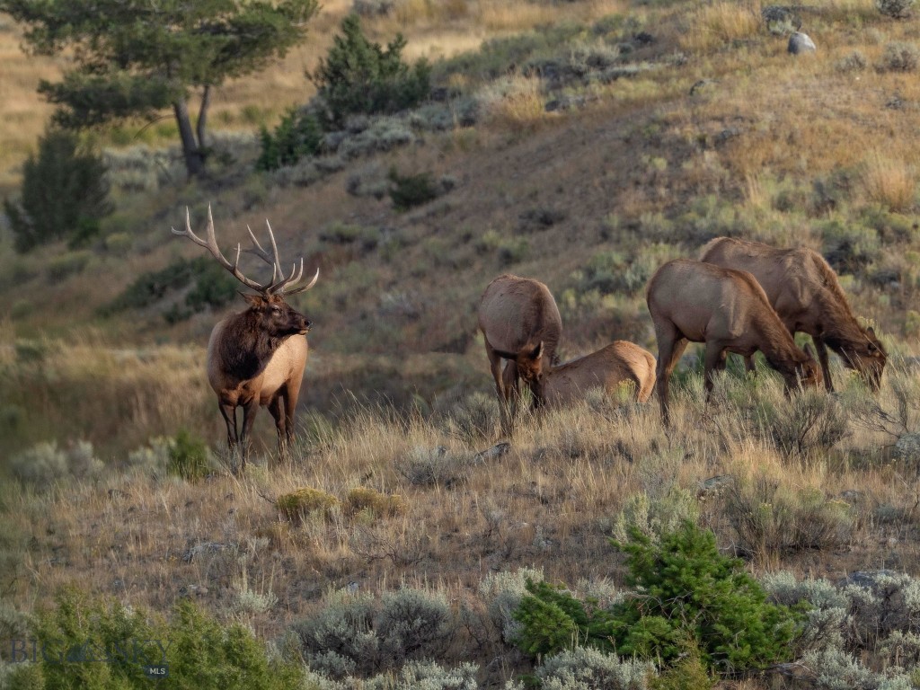 94 Sky Band Trail, Livingston MT 59047