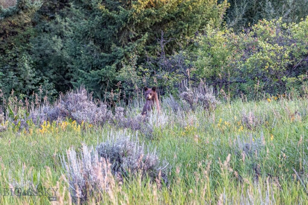 94 Sky Band Trail, Livingston MT 59047