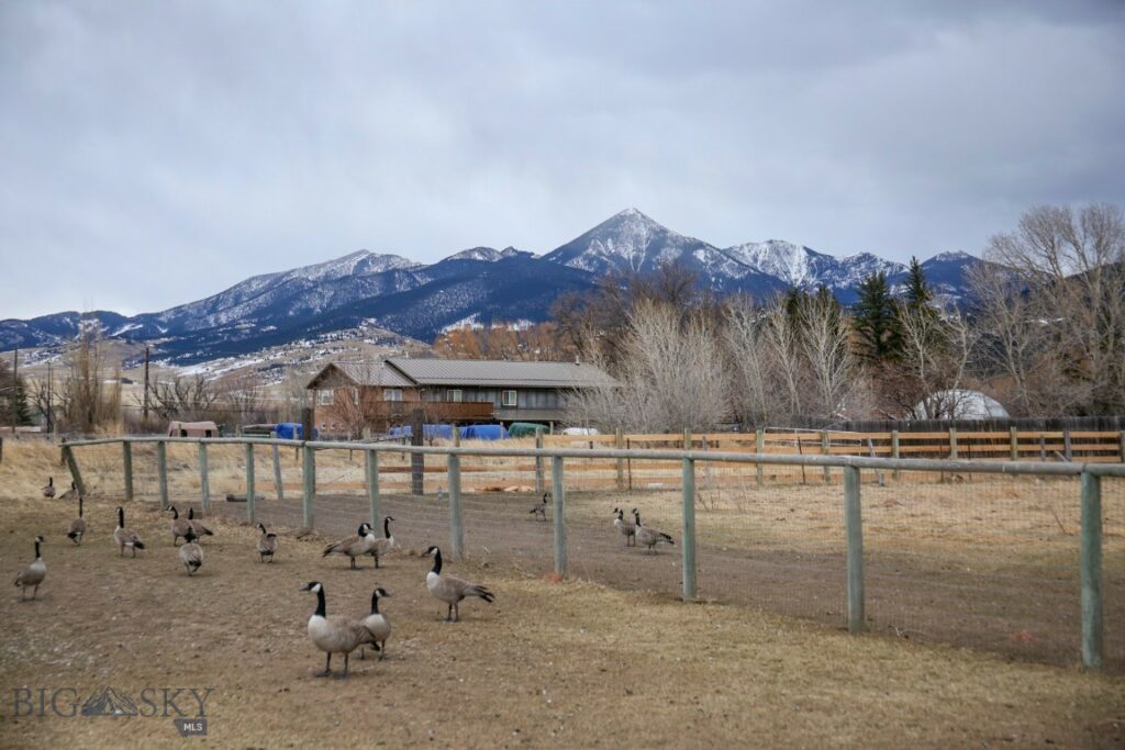 98 Miller Drive, Livingston MT 59047