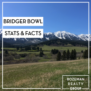 Bridger bowl stats and facts