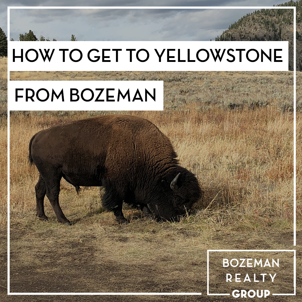 How To Get To Yellowstone From Bozeman